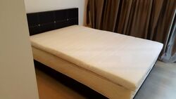 21 Richards (D19), Apartment #466481011